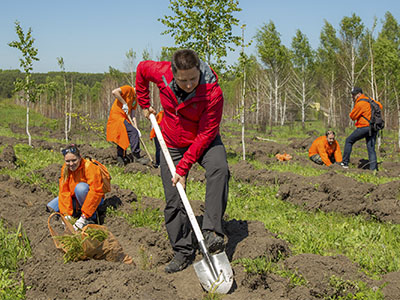 Сотрудники Goodline сажают деревья